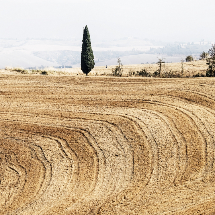 2015-cretesenesi-01-ValDOrcia050515 002